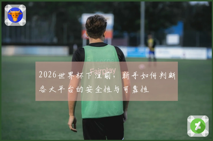 2026世界杯下注前，新手如何判断各大平台的安全性与可靠性