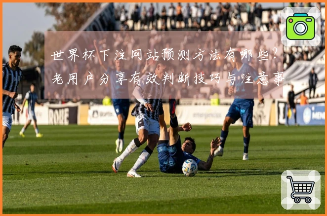 世界杯下注网站预测方法有哪些？老用户分享有效判断技巧与注意事项