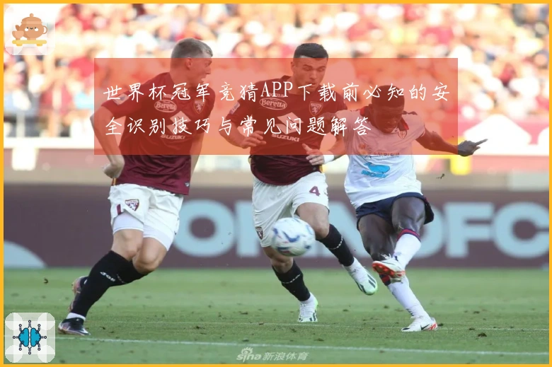 世界杯冠军竞猜APP下载前必知的安全识别技巧与常见问题解答