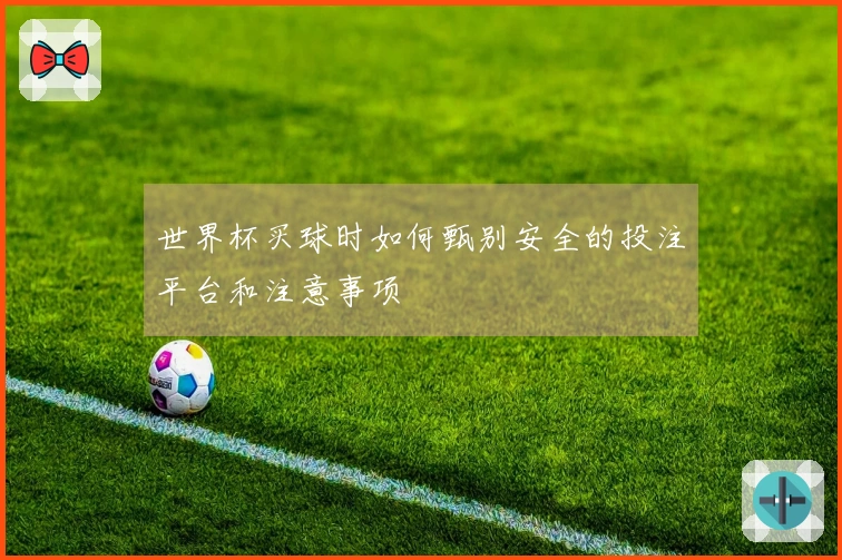 世界杯买球时如何甄别安全的投注平台和注意事项