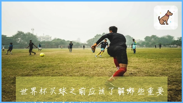 世界杯买球之前应该了解哪些重要的规则和风险指标