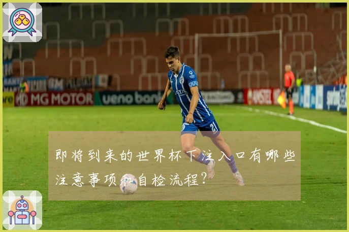 即将到来的世界杯下注入口有哪些注意事项和自检流程？