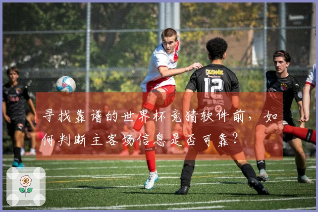寻找靠谱的世界杯竞猜软件前，如何判断主客场信息是否可靠？