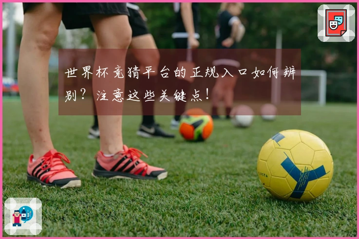 世界杯竞猜平台的正规入口如何辨别？注意这些关键点！