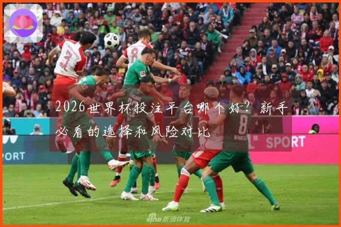 2026世界杯投注平台哪个好？新手必看的选择和风险对比