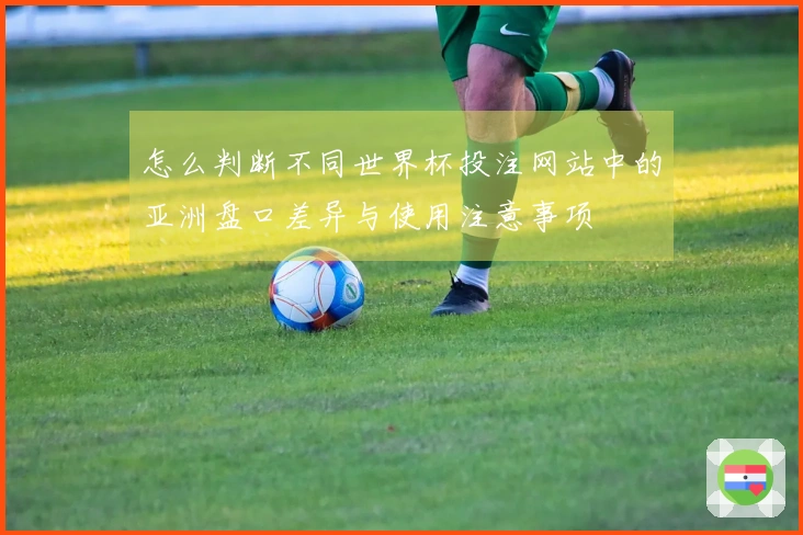 怎么判断不同世界杯投注网站中的亚洲盘口差异与使用注意事项