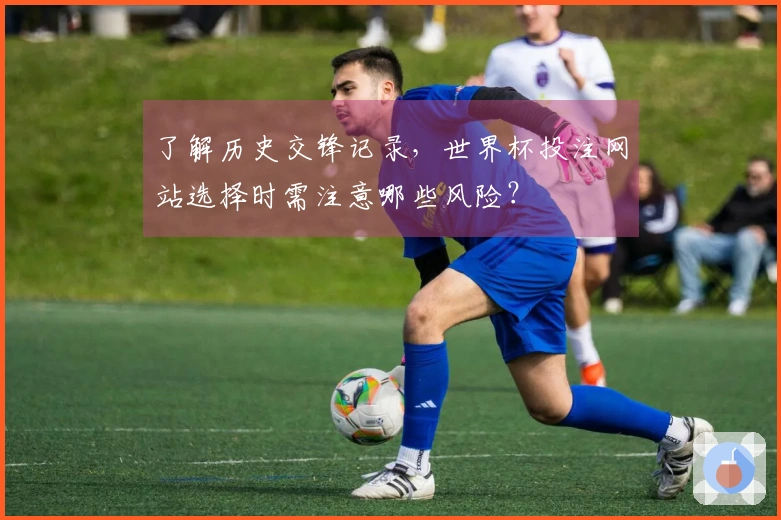 了解历史交锋记录，世界杯投注网站选择时需注意哪些风险？