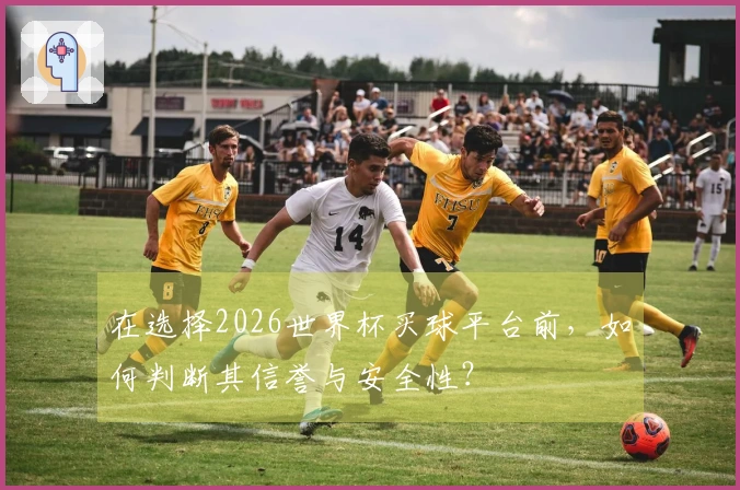 在选择2026世界杯买球平台前，如何判断其信誉与安全性？