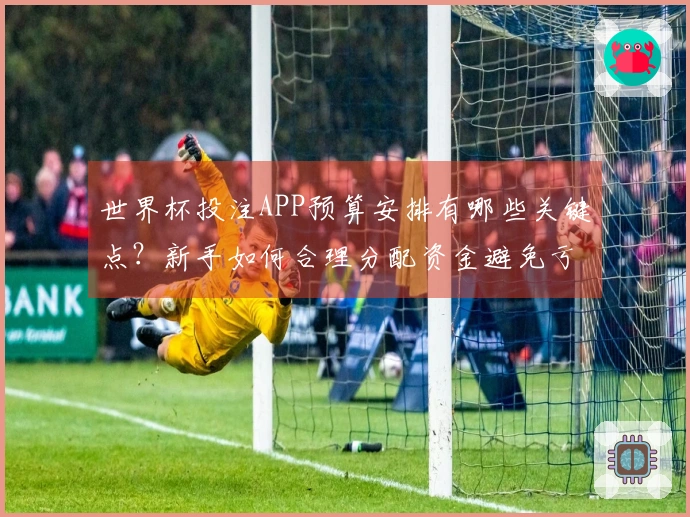 世界杯投注APP预算安排有哪些关键点？新手如何合理分配资金避免亏损？