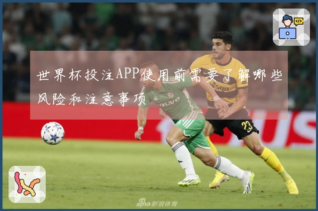 世界杯投注APP使用前需要了解哪些风险和注意事项