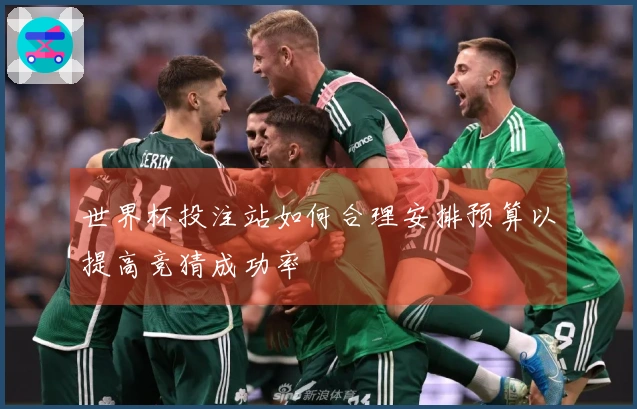 世界杯投注站如何合理安排预算以提高竞猜成功率