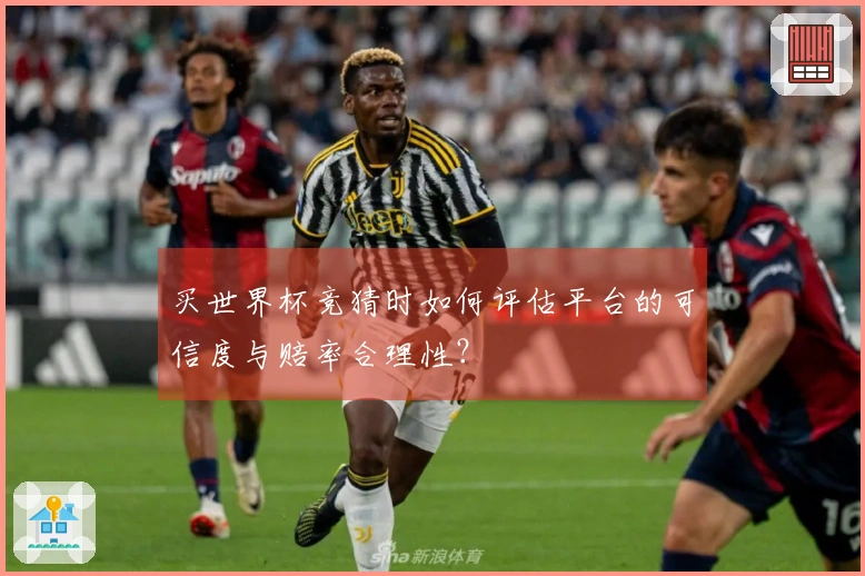 买世界杯竞猜时如何评估平台的可信度与赔率合理性？