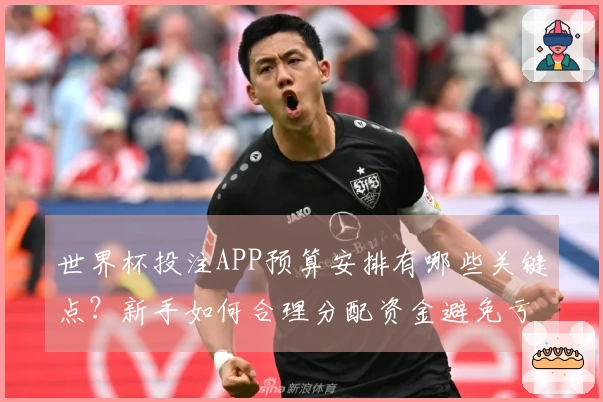 世界杯投注APP预算安排有哪些关键点？新手如何合理分配资金避免亏损？