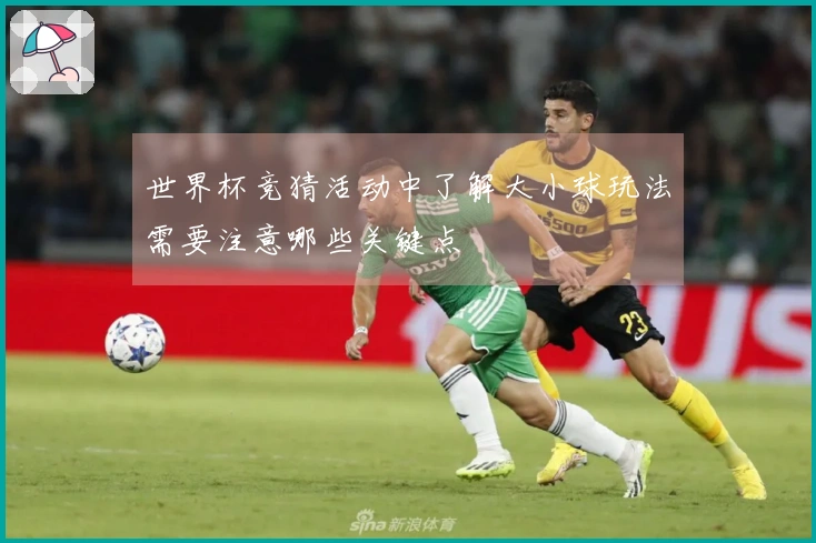 世界杯竞猜活动中了解大小球玩法需要注意哪些关键点