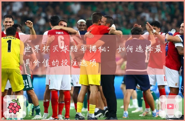 世界杯买球赔率揭秘：如何选择最具价值的投注选项