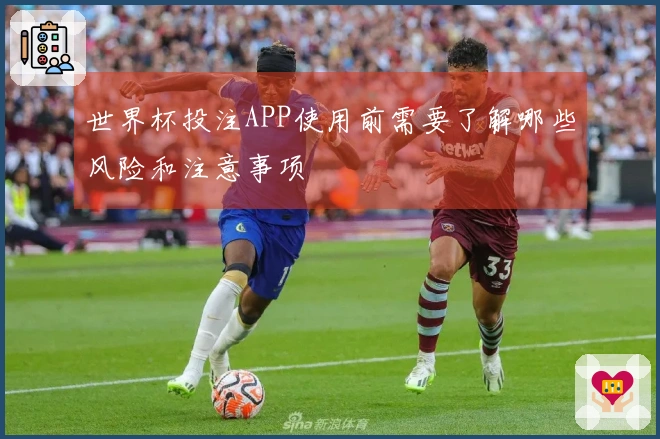 世界杯投注APP使用前需要了解哪些风险和注意事项