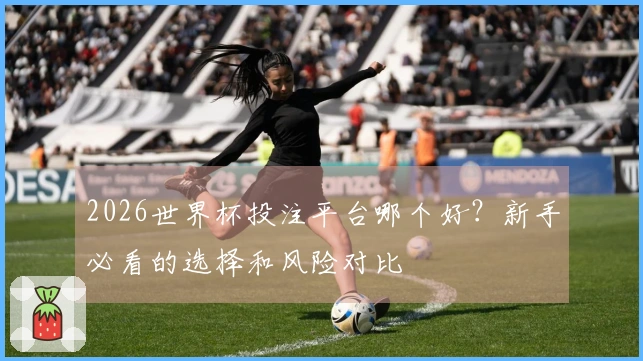 2026世界杯投注平台哪个好？新手必看的选择和风险对比