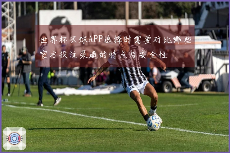 世界杯买球APP选择时需要对比哪些官方投注渠道的特点与安全性