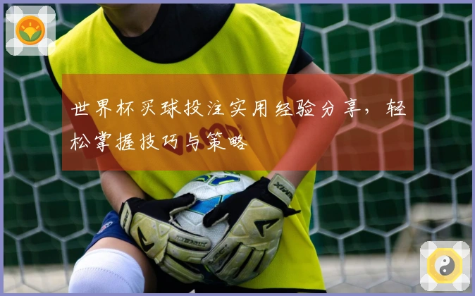 世界杯买球投注实用经验分享，轻松掌握技巧与策略