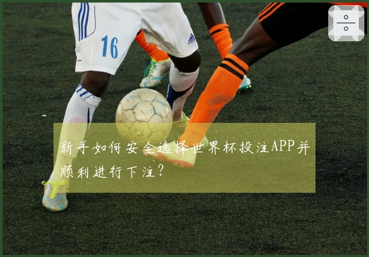 新手如何安全选择世界杯投注APP并顺利进行下注？